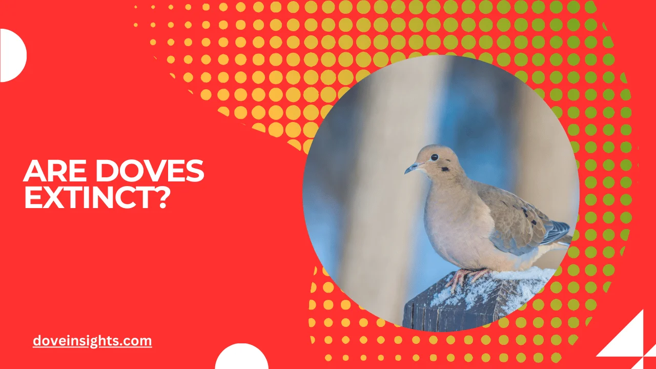 Are doves extinct